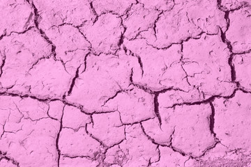 Dry cracked earth. cracked earth texture for design. textured background.