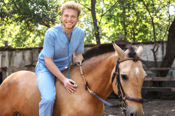 Veterinarian examining horse on farm