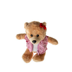 brown Lady teddy bear isolated on white background,mock up for card cerebration and education concept