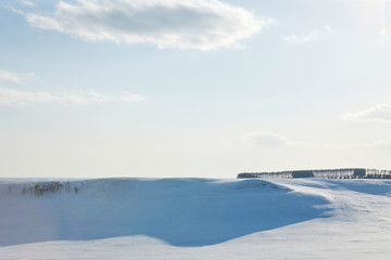 北海道中標津町の雪景色