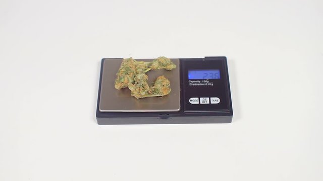 weighing cannabis in the criminal police lab