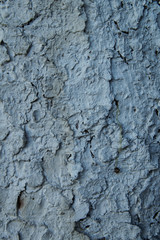 Background of a tree trunk, covered with gray paint, cracked from old age