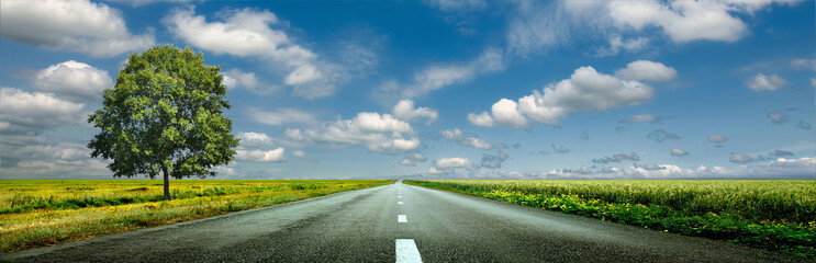 Road to the sky