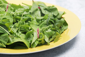 A plate with green salad	