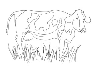 Coloring page with cow illustration for children. Coloring book page.