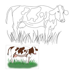 Coloring page with cow illustration for children. Coloring book page.