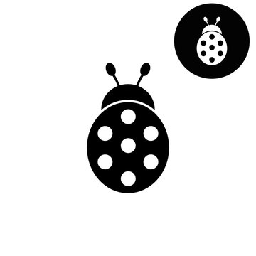 ladybug  - white vector icon