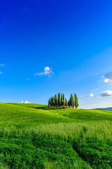 Group of italian cypresses near San Quirico d&acute;Orcia - aerial view - Beautiful landscape Scenery -  Val d&rsquo;Orcia, Tuscany, Italy