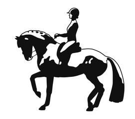 Silhouette of a dressage rider and horse