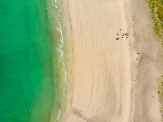 Fototapeta na wymiar Sea shore, white sand and turquoise water.