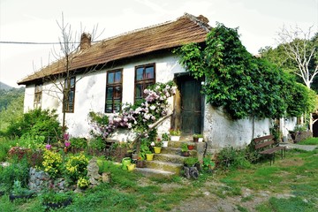 Fototapeta na wymiar old house with garden