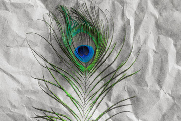 Obraz premium Peacock feather close-up on crumpled brown paper, abstract background, selective focus