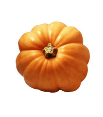 Large orange pumpkin