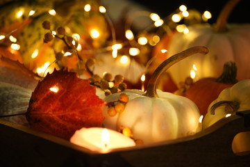 Decorative pumpkins with autumn leaves and berries and magic glowing lights. dark magic photo. atmosphere of fabulousness and magic.