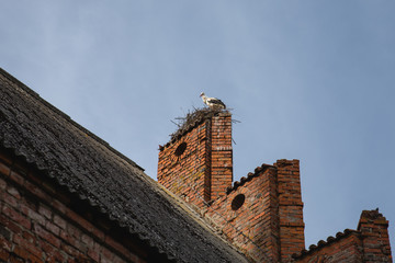
stork on the old church