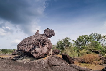 view of Nature rock shape alike turtle with cloudy sky background on trail way to Cha Na Dai Cliff, Pha Taem National Park, Ubon Ratchathani, Thailand.