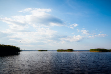 Summer landscape - lake on a Sunny day