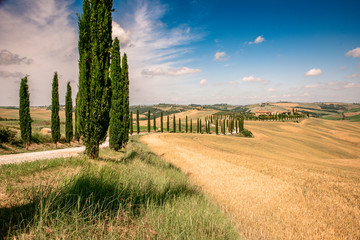 Beautiful landscape scenery of Tuscany in Italy - cypress trees along white road - aerial view - ...