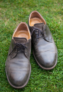 A pair of brown shoes in a green meadow.