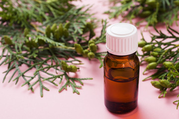 Thuja aroma essential oil in a glass jar on a pink background. Copy space. Selective focus.