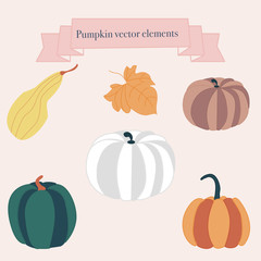 Colorful pumpkins icons. Vector elements