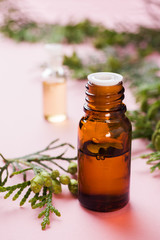 Thuja aroma essential oil in a glass jar on a pink background. Copy space. Selective focus.
