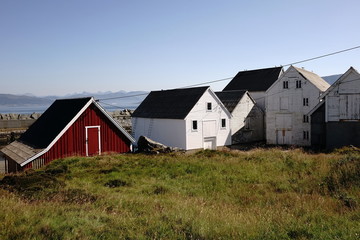 Fototapeta na wymiar Vecchie case sull'isola di Runde Norvegia