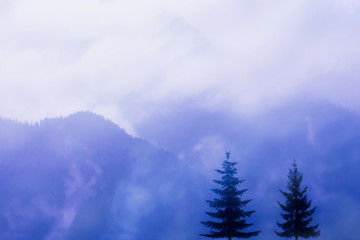 Misty White and Blue Mountain Landscape. Dark Silhouettes of two fir trees against the backdrop of mountains in the fog. Beauty in nature. Inspiration background. Artistic image.