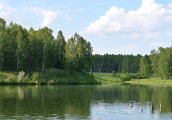 Fototapeta premium Landscape: forest and river, horizontal photo, sunset stormy sky