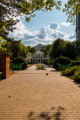Obraz premium Park alley of the Odessa Botanical Garden. Ukraine.