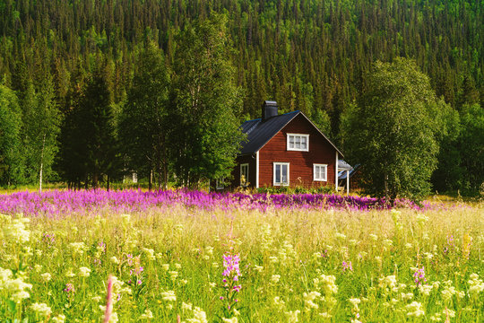 idyllic house at the foot of the mountain seen from the perspective of a colorful meadow. Sweden. Lapland