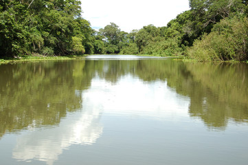 Pantanal