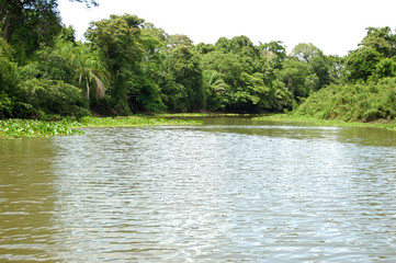 Pantanal