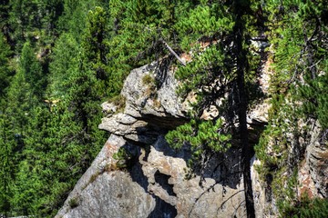 Martell, Martelltal, Schlucht, Klamm, Vinschgau, Südtirol, Plima, Plima-Schlucht, Schluchtenweg,...