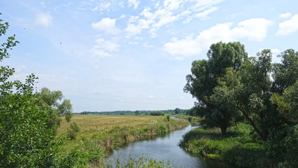 Fototapeta na wymiar Small river in the countryside, summer day