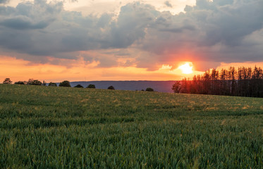 Fototapeta premium The landscape in Low Saxony, Germany.