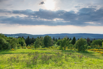 Fototapeta na wymiar The landscape of Teutoburg Forest in Germany