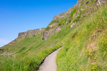 summer giants causeway coastline,Northern Ireland