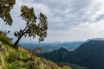 Fototapeta na wymiar Simien Mountains, Ethiopia 