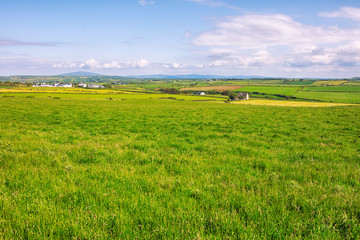  wide angle shoot summer countryside morning,Northern Ireland