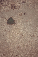 Gray stone wall background, stone background