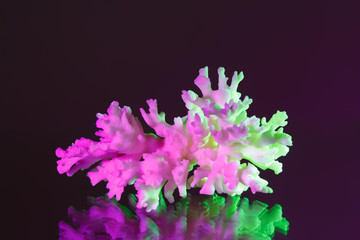 Calcium skeleton of coral polyps illuminated with trendy neon colors: pink-purple and acid green. The magical and fantasy underwater world of the seas and oceans.Minimalistic marine composition.