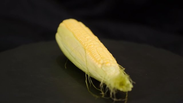 Close-up of pods of ripe sweet corn on a black background. Close-up of ripe corn on a black background.