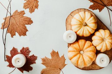 Fototapeta na wymiar Top view of small pumpkins on a wooden board decorated Autumn ornate. The concept of Thanksgiving and Autumn.