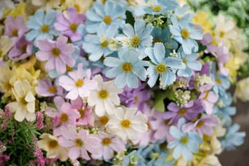 flowers and leaf Summer background close up