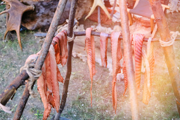 Meat cut into strips is strung on branches and cooked on fire. Life in the camp of the first American settlers in the wild West and gold digger. Pieces of jerky over the fire are prepared.