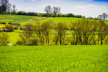 cotswold landscape gloucestershire england uk