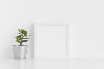 White square frame mockup with a crassula in a pot on a white table.
