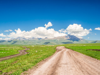Two dirt roads winding into the distance where snowy mountains stand