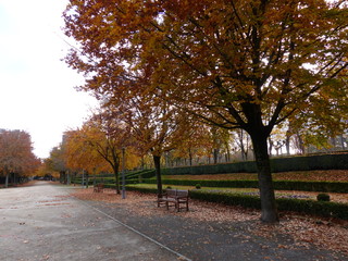 Fototapeta na wymiar Banco en el parque con árboles en otoño